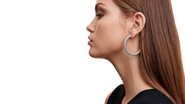 Big Hoop Earrings